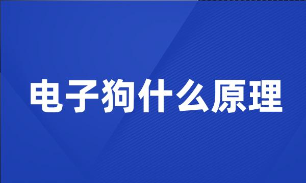 电子狗什么原理