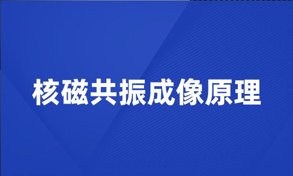 核磁共振成像原理