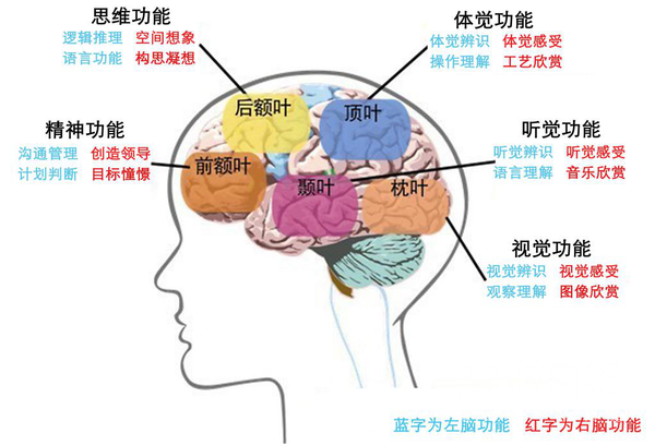 卒中学会