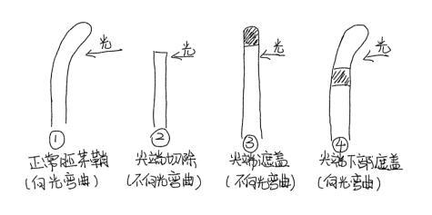 中学生物