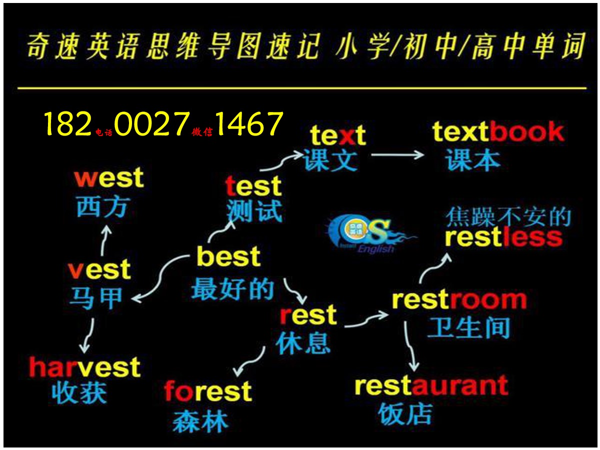 中学词汇